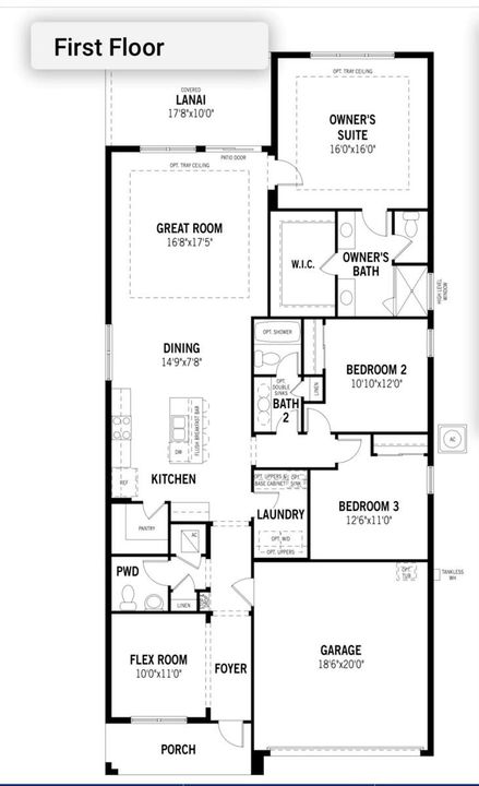 Layout