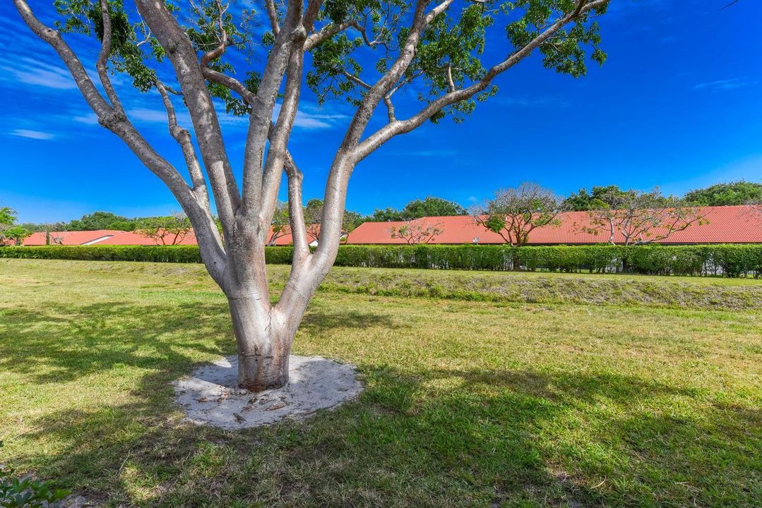 018-026-8109 Whispering Palm-1498x1000