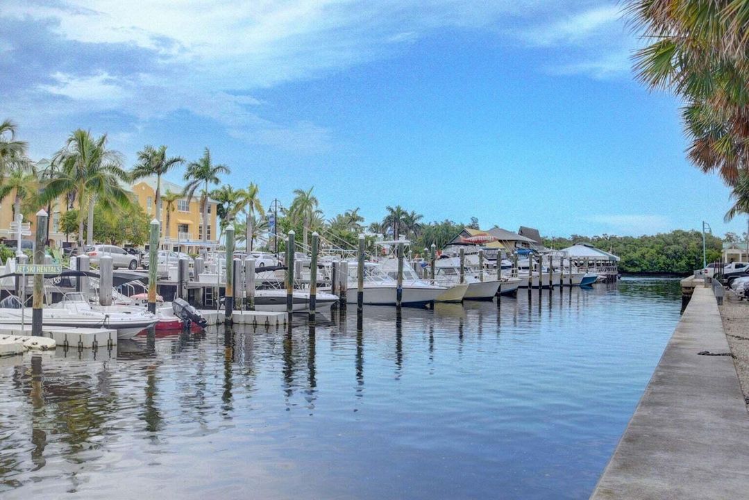 Marina Docks