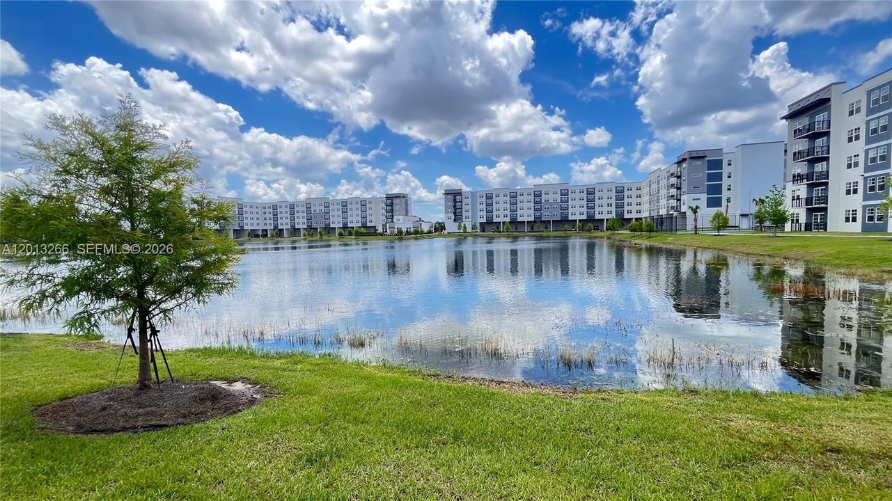 В аренду: $2,400 (3 спален, 2 ванн, 1150 Квадратных фут)