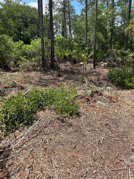 For Sale: $40,000 (1.29 acres)