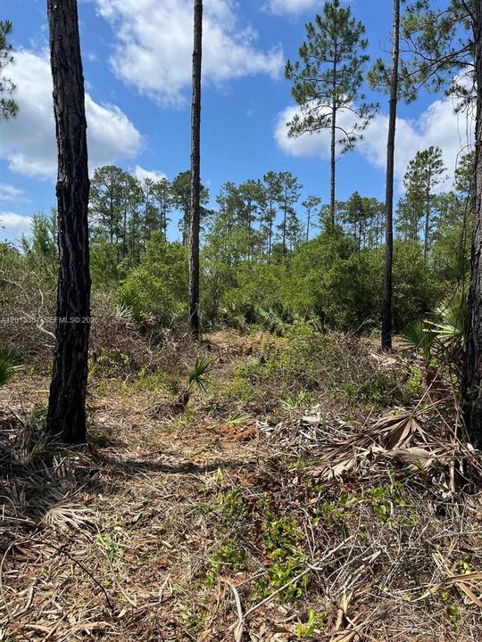 For Sale: $40,000 (1.29 acres)
