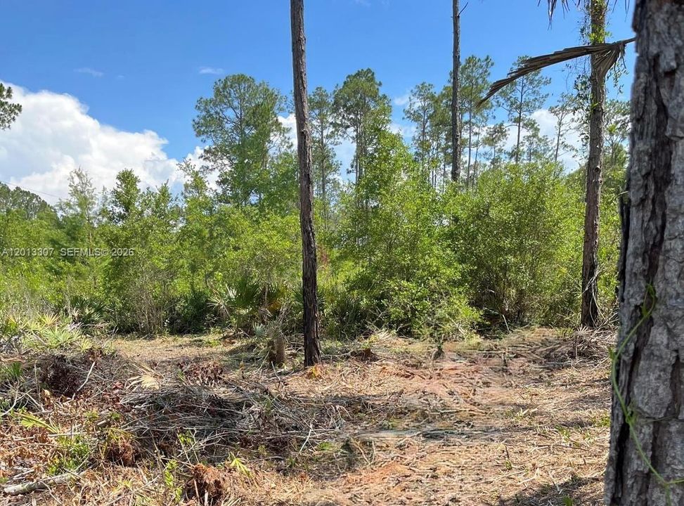 For Sale: $40,000 (1.29 acres)