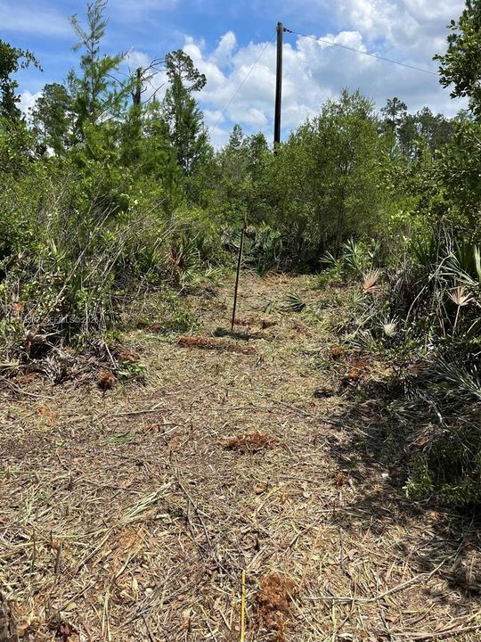 For Sale: $40,000 (1.29 acres)