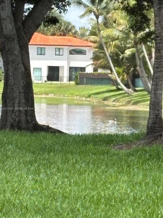 На продажу: $1,250,000 (5 спален, 4 ванн, 3232 Квадратных фут)