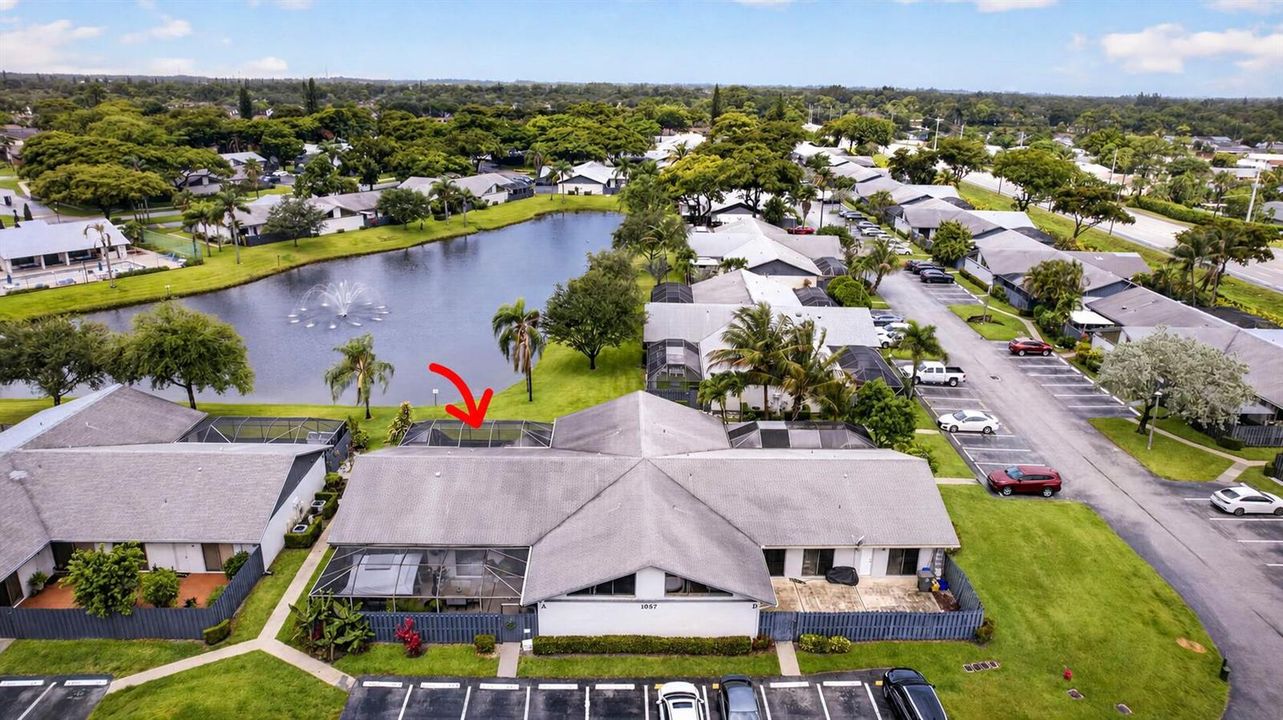 Aerial Lake View