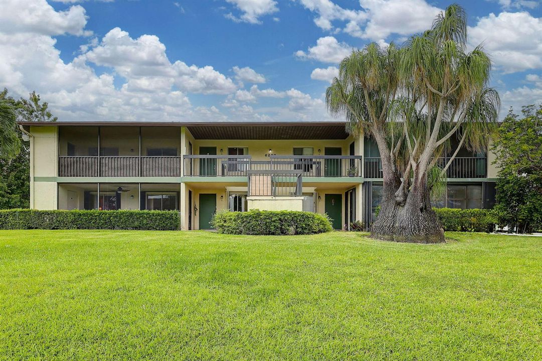 5-web-or-mls-5P1A5482