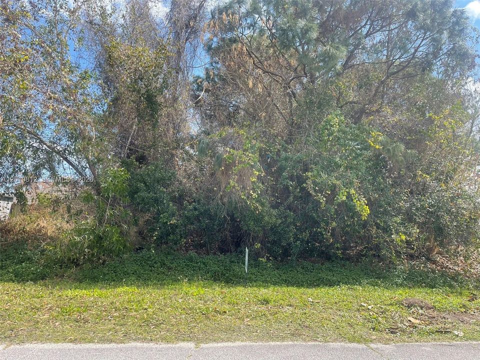 Front of Property