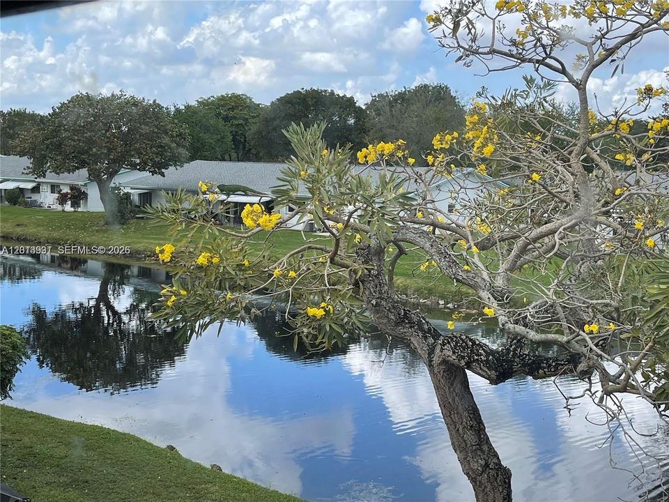 Active With Contract: $3,150 (3 beds, 2 baths, 1770 Square Feet)