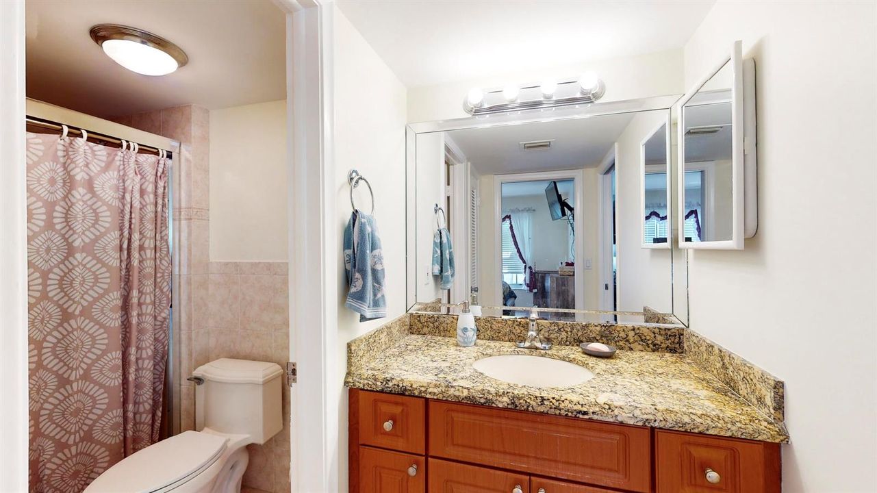 Guest bathroom
