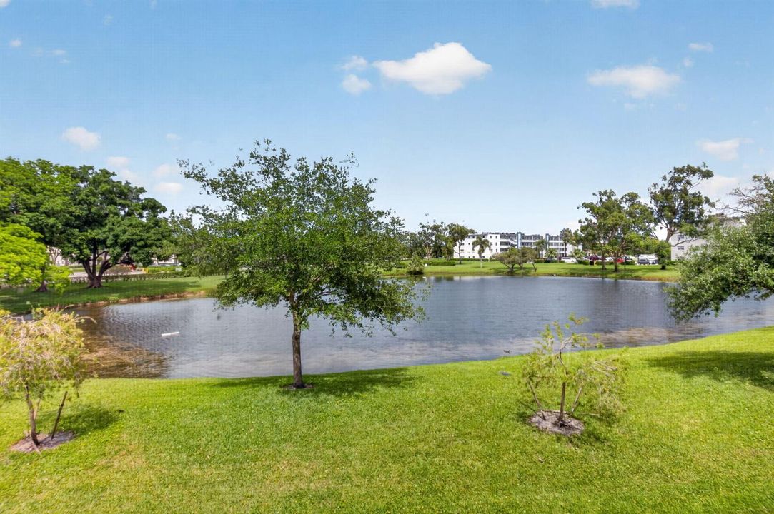 Tranquil Lake & Tree View From Patio