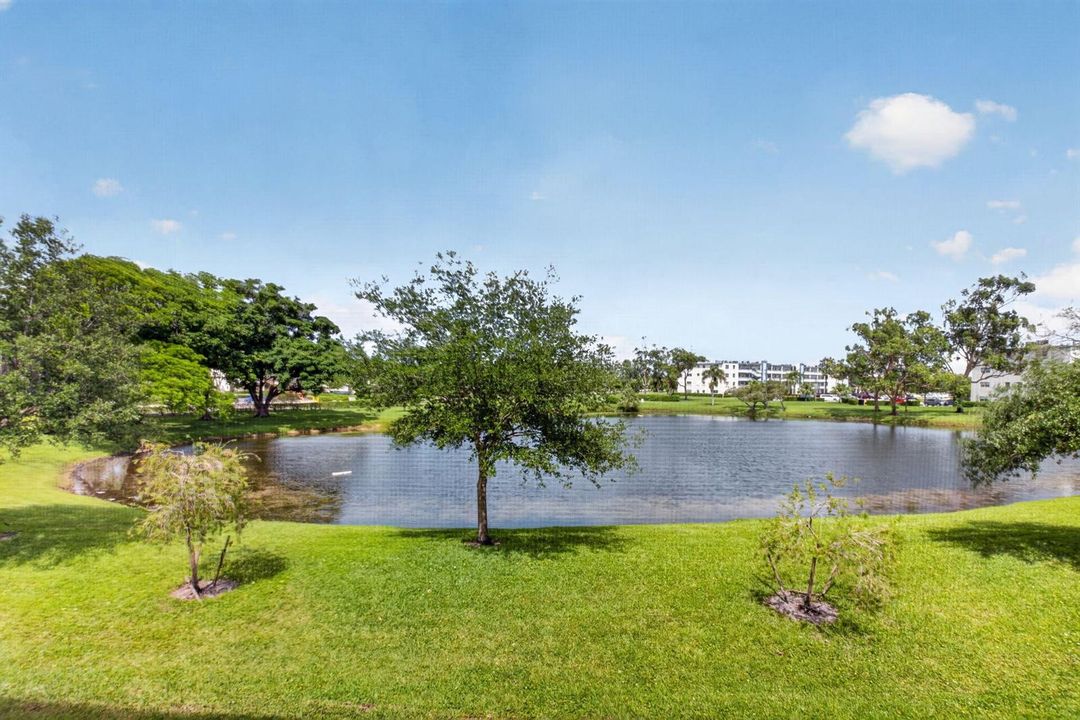 Tranquil Lake & Tree View From Patio