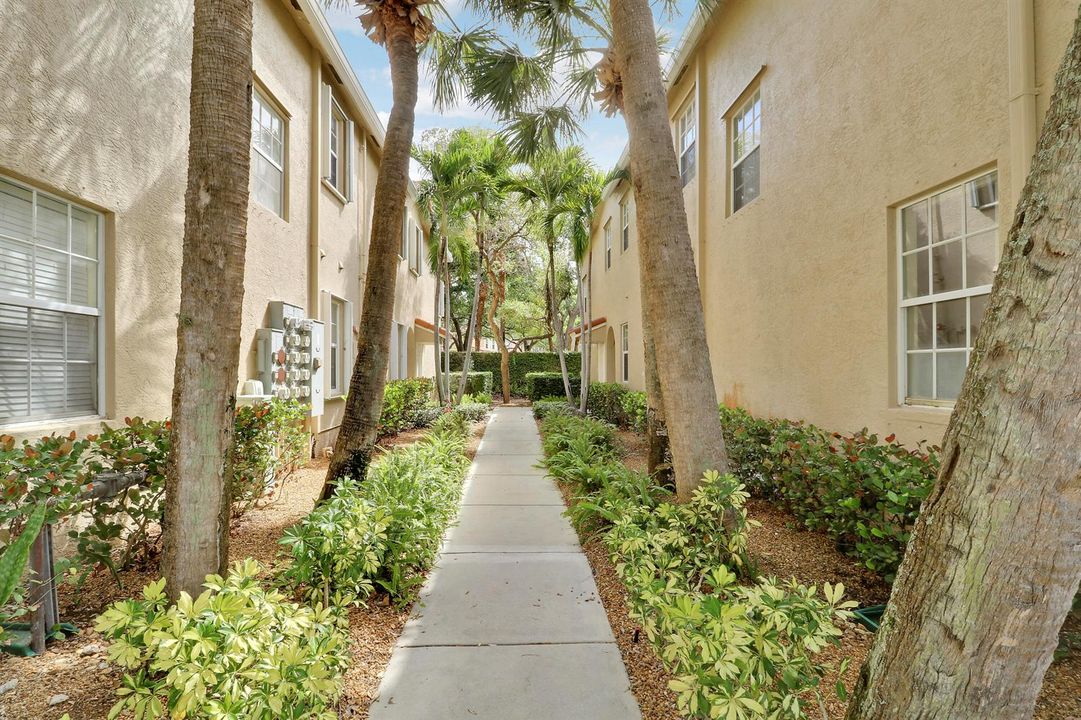 Walk Way