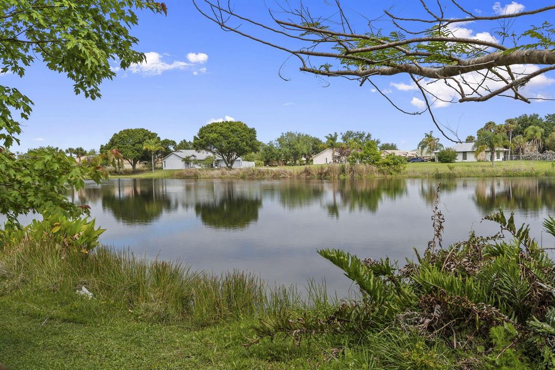 Pond behind house