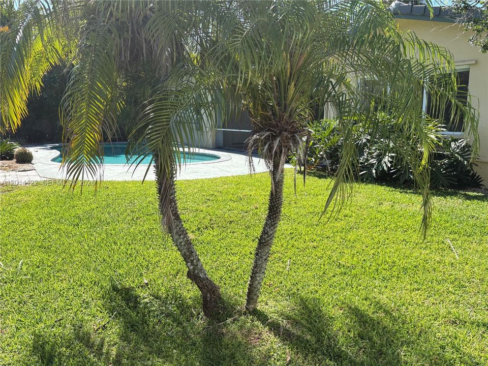 Activo con contrato: $899,000 (3 camas, 2 baños, 1833 Pies cuadrados)