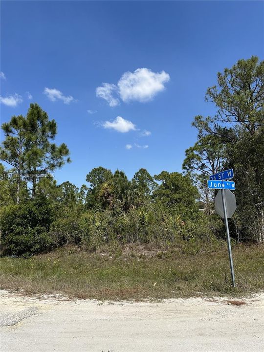 For Sale: $26,000 (0.25 acres)