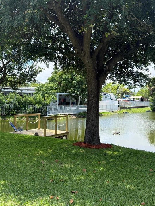 Dock