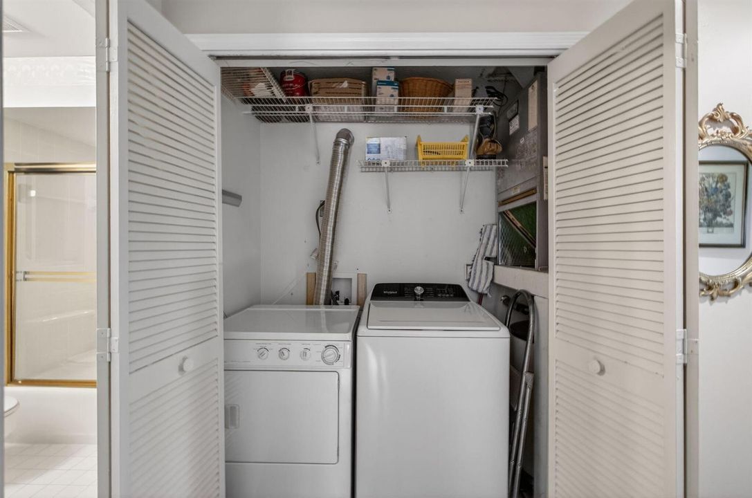 32-web-or-mls-5D1A5811