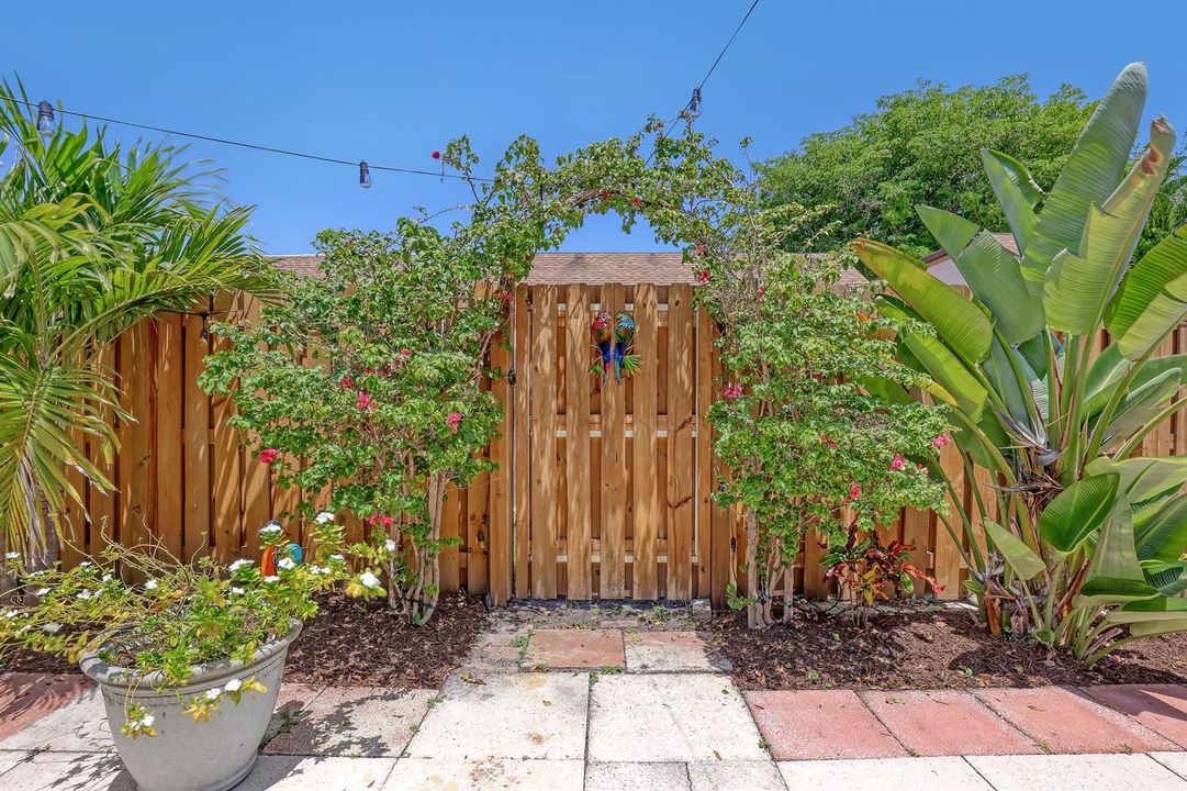 5203 Peppercorn (35)