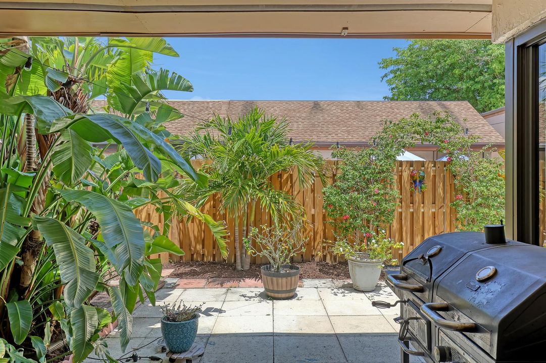 5203 Peppercorn (32)