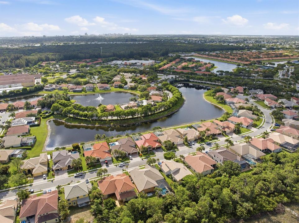 Drone Shot - Neighborhood