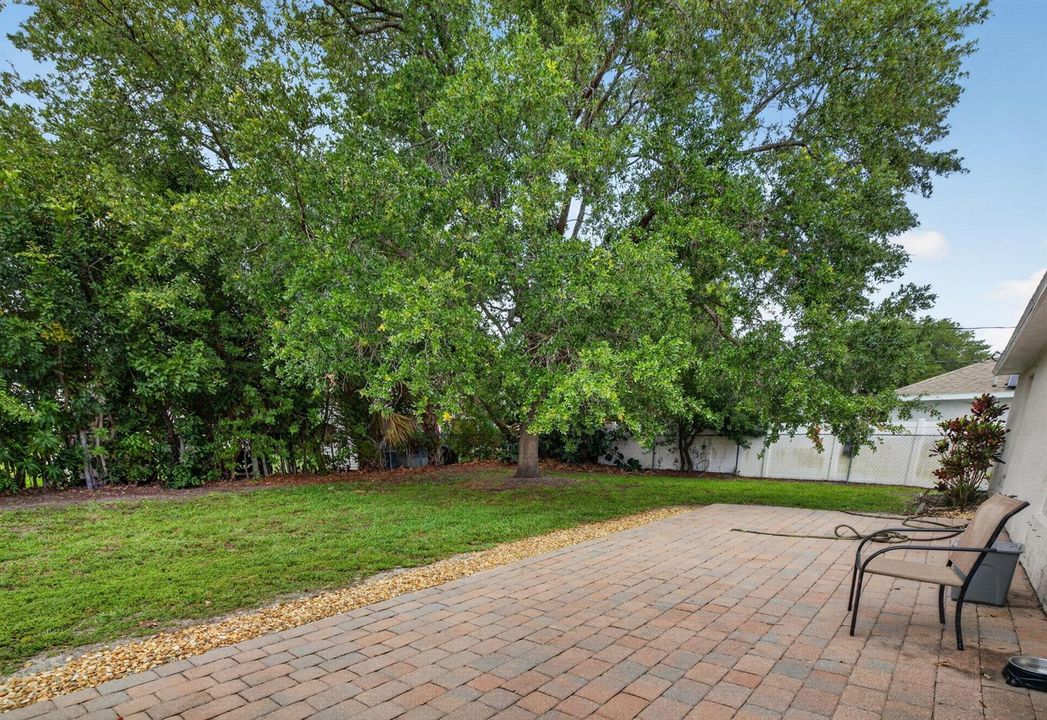 35-web-or-mls-3A5A0429