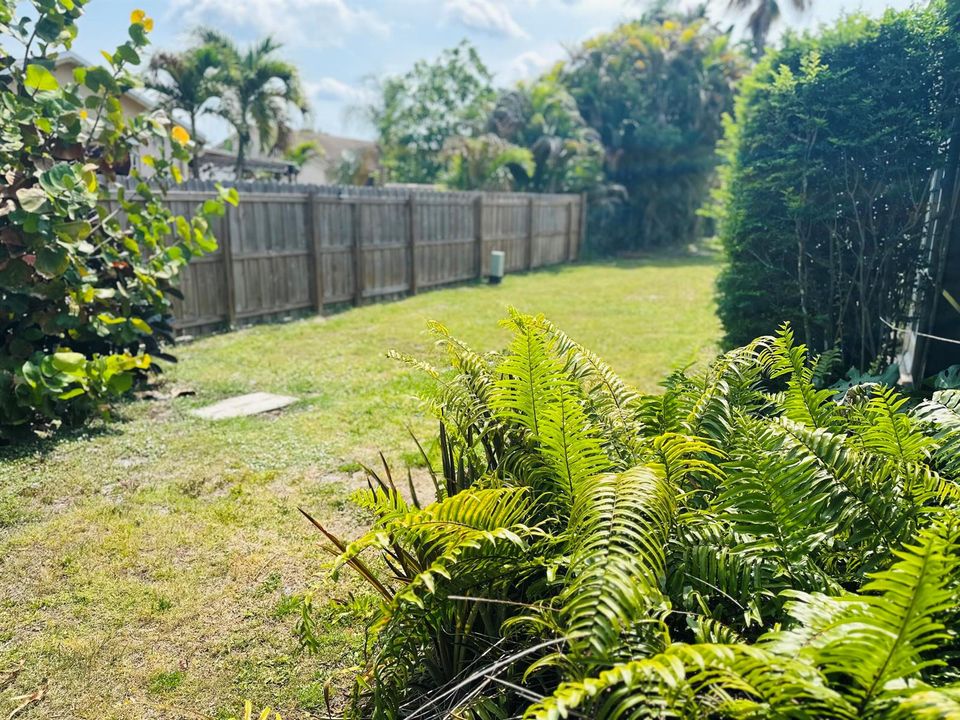 FENCED YARD