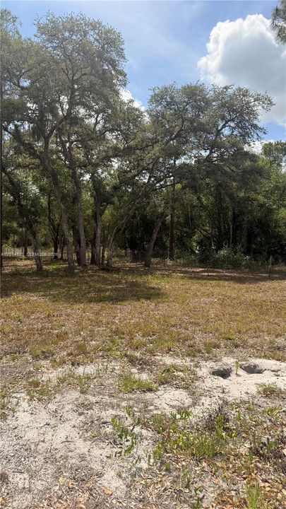 For Sale: $75,000 (1.25 acres)