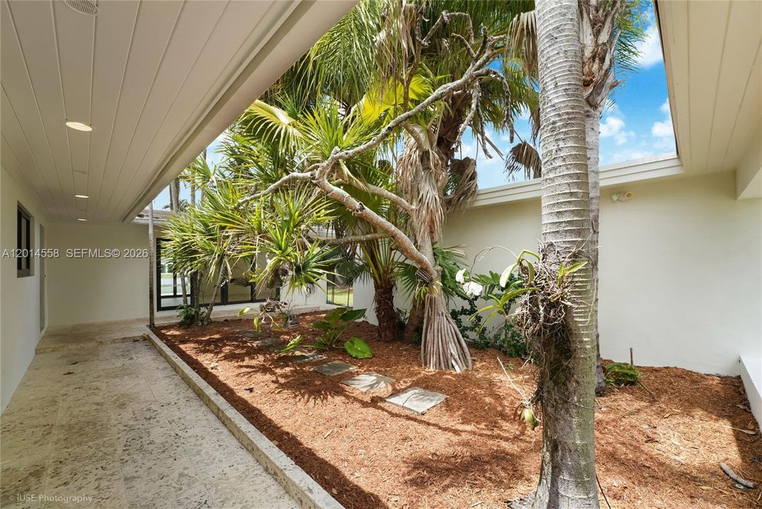 Great courtyard with lush tropial trees welcomes you.