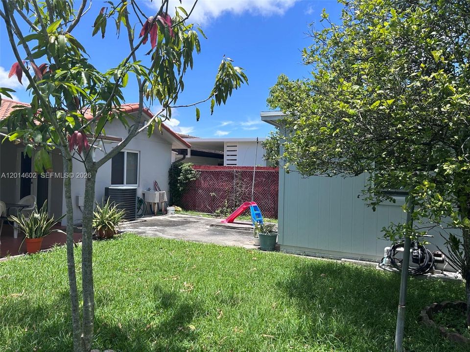 fruit trees & well