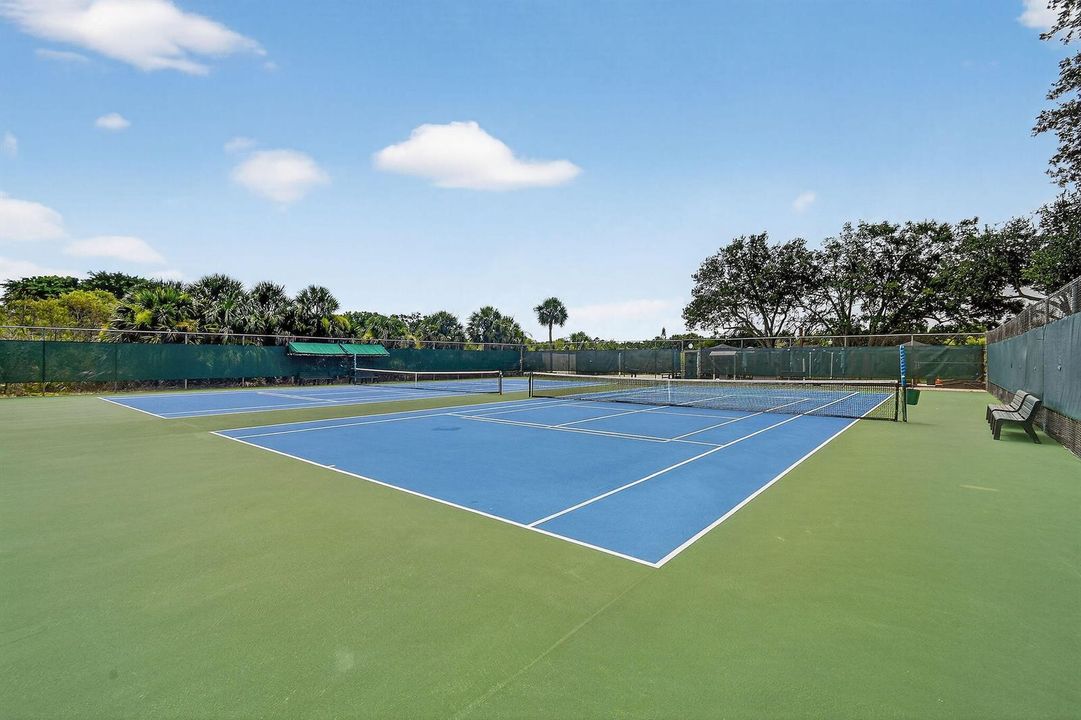 Unlimited Tennis and Pickelball