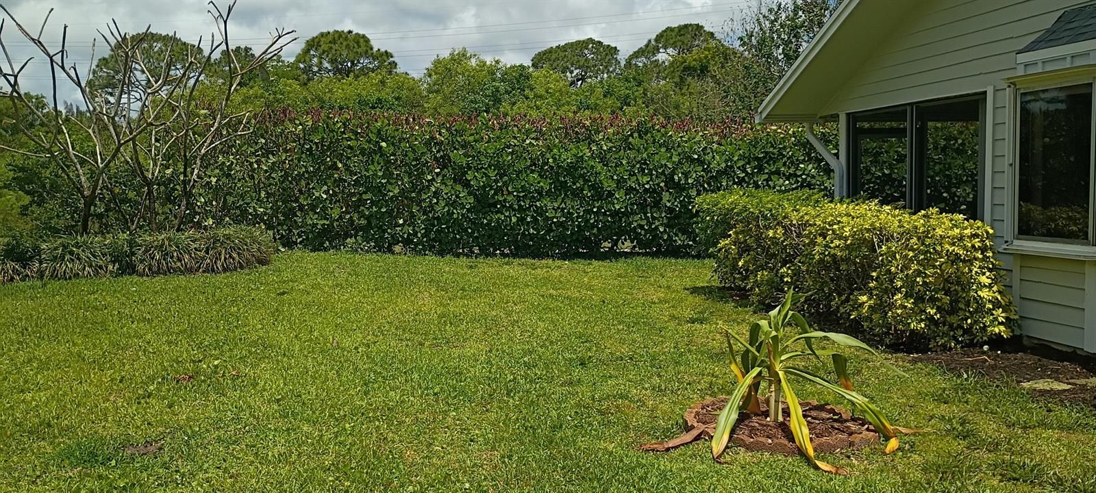 Spacious side yard
