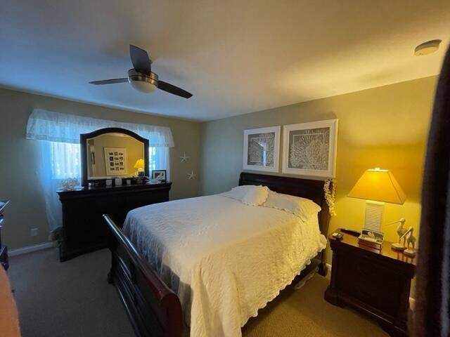 image5 (3)