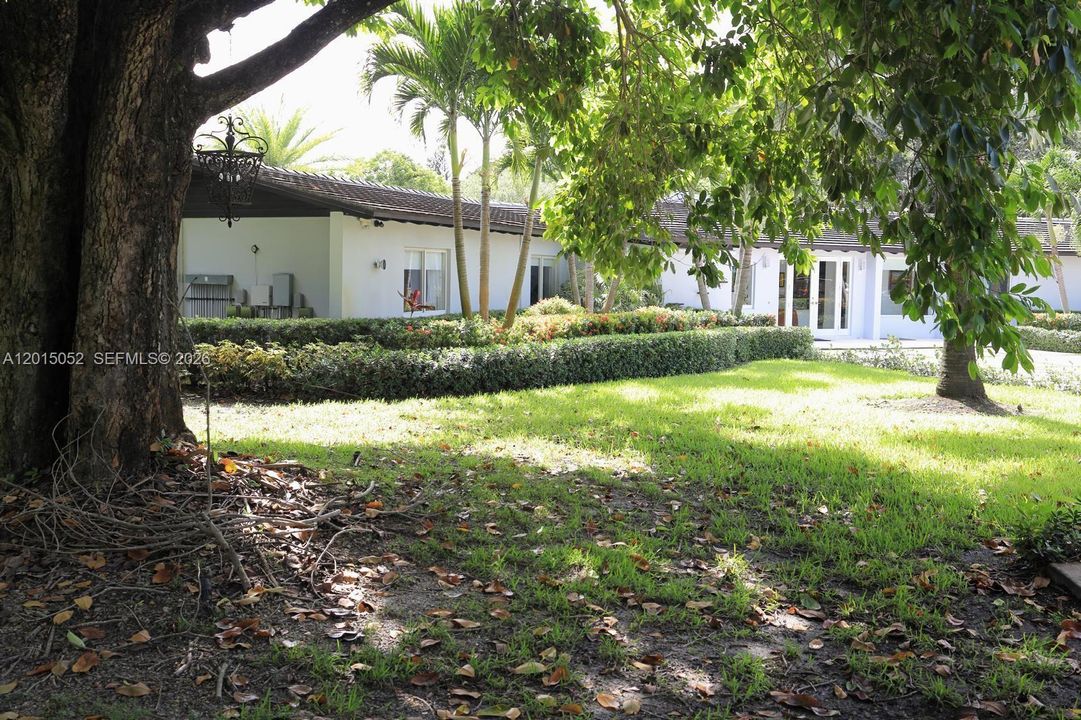 Front Yard
