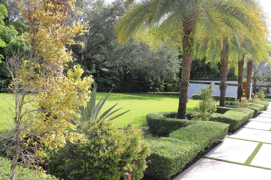 Front Yard