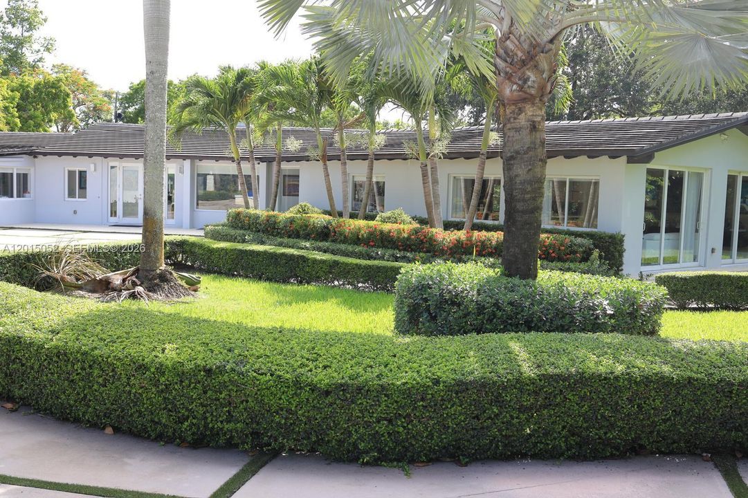 Front Yard