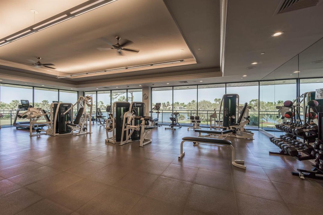 Ironhorse (9) gym2