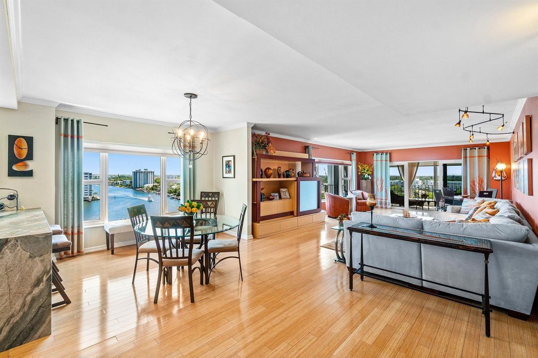 Dining - Living Room Area