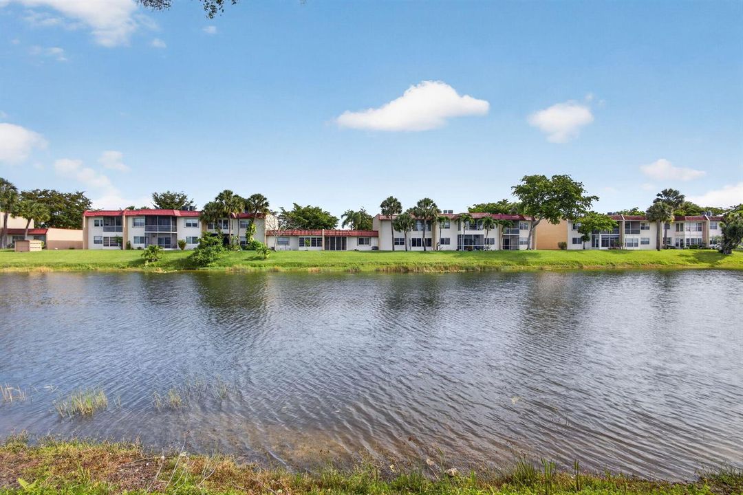 45-web-or-mls-5D1A7531