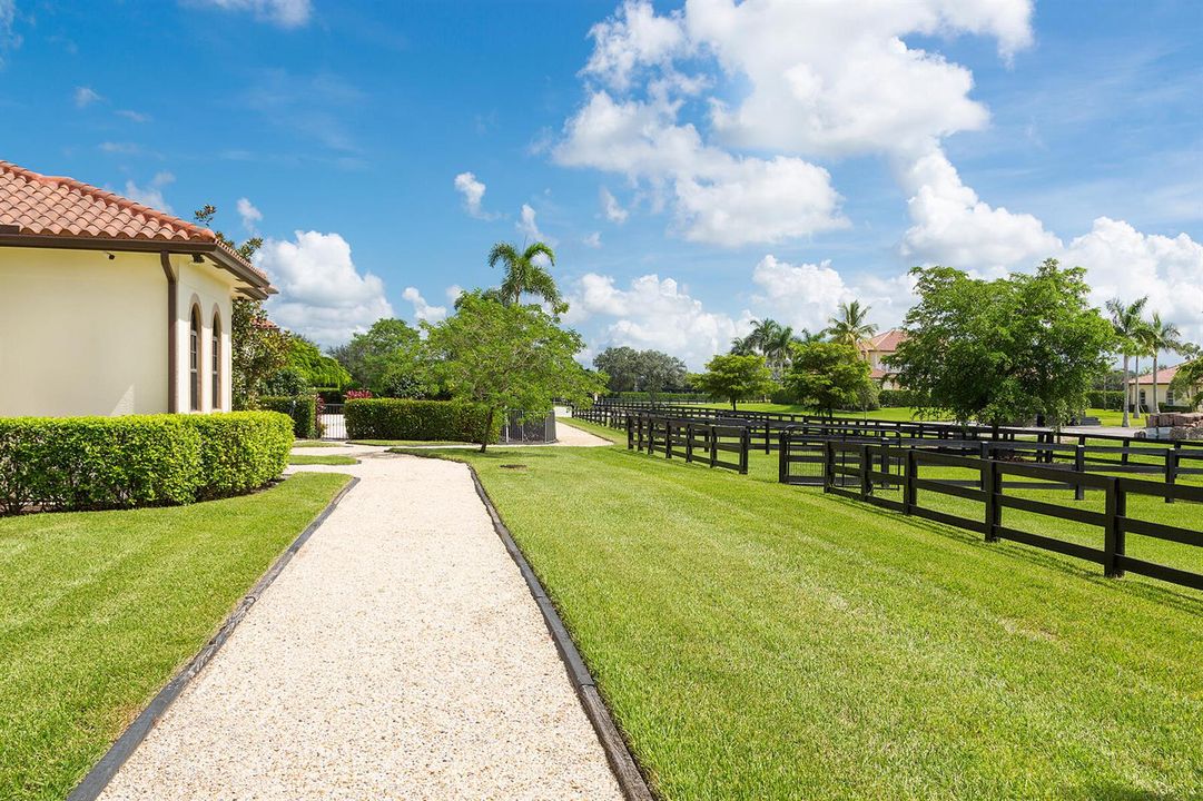 66_Paddocks2