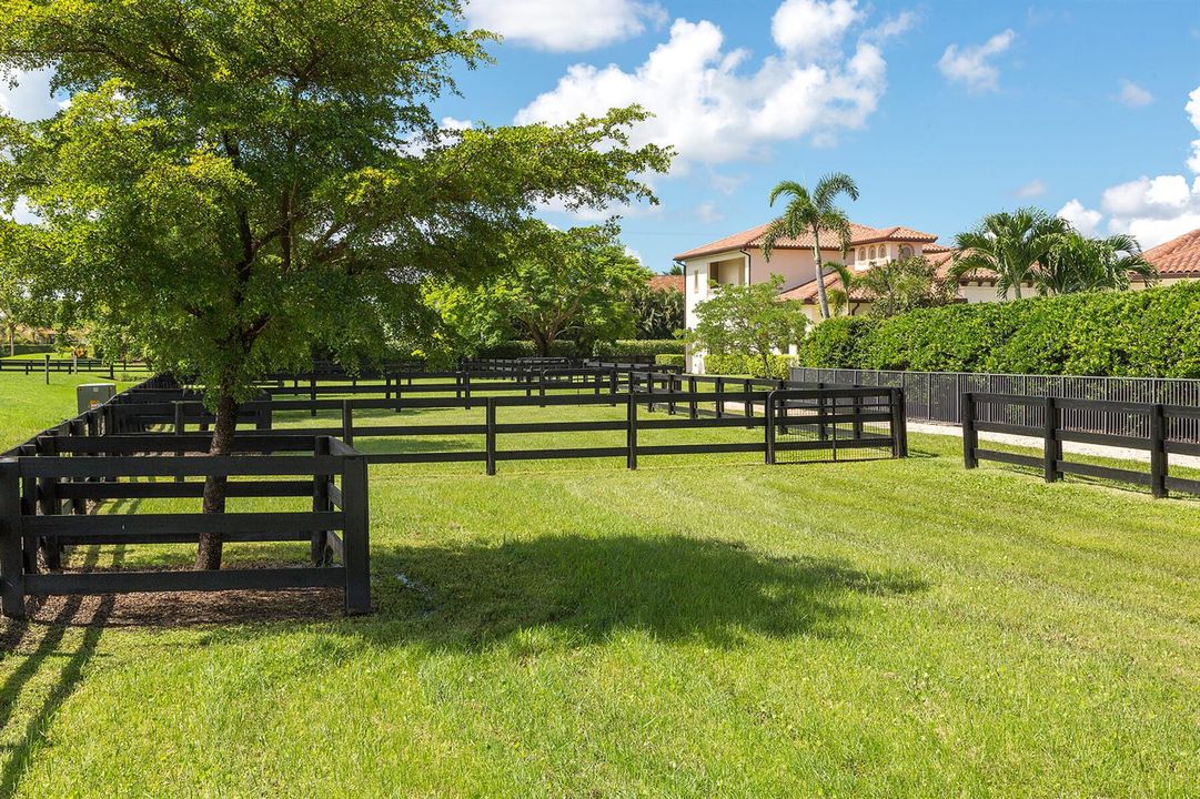 65_Paddocks4