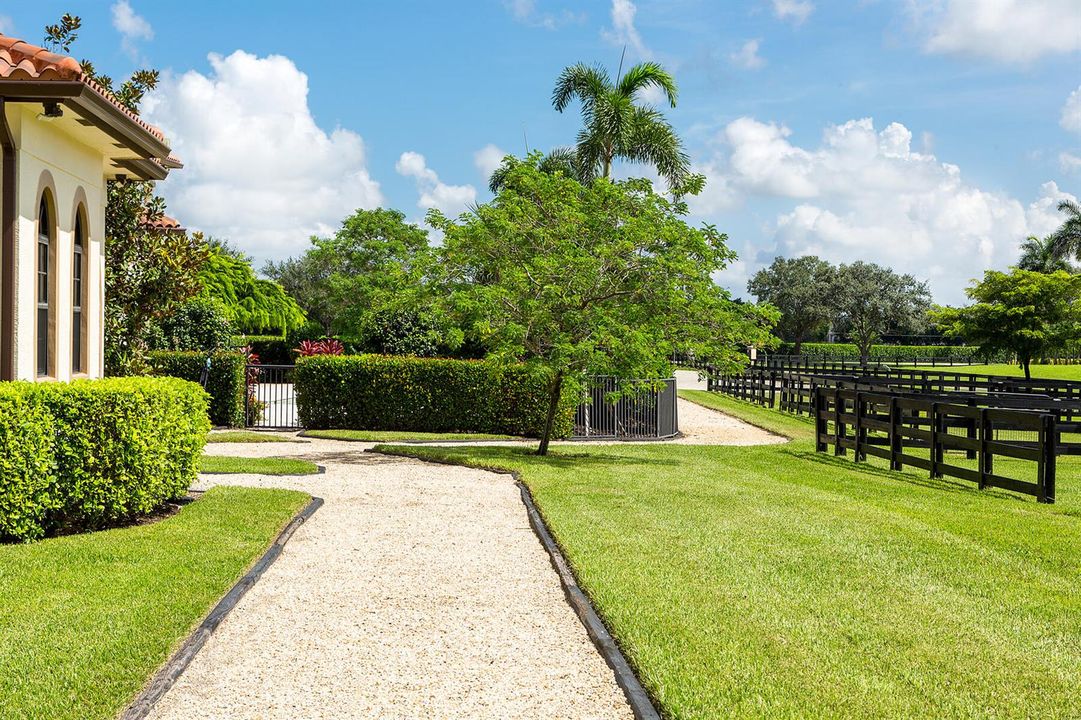 67_Paddocks3