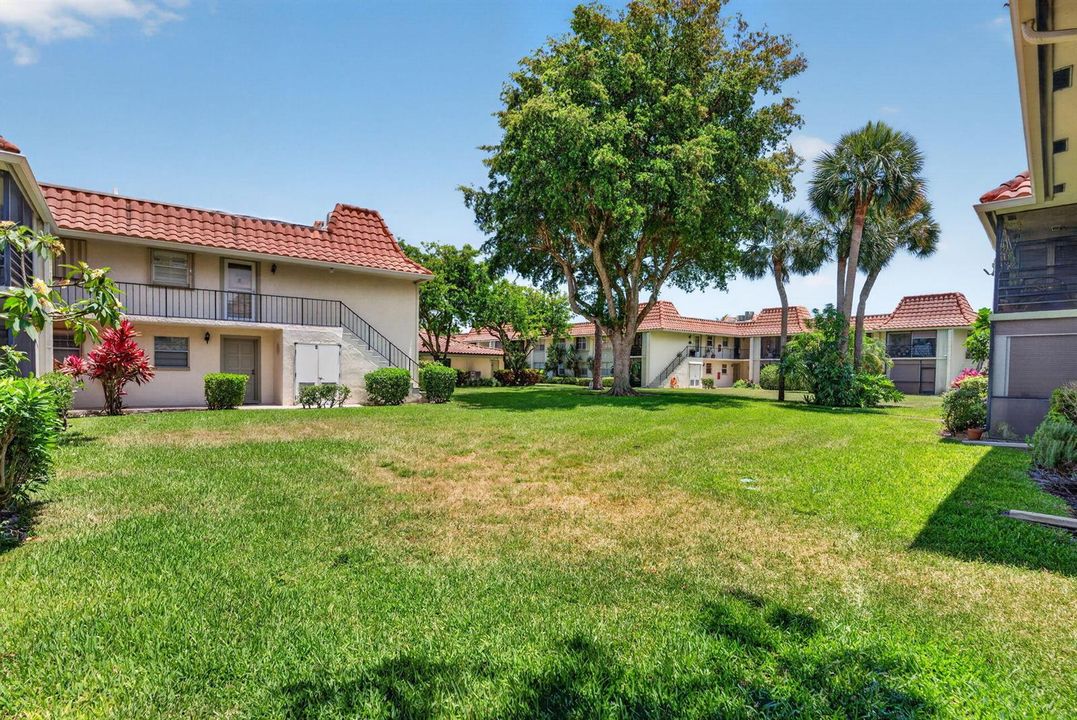 35-web-or-mls-DSC03207