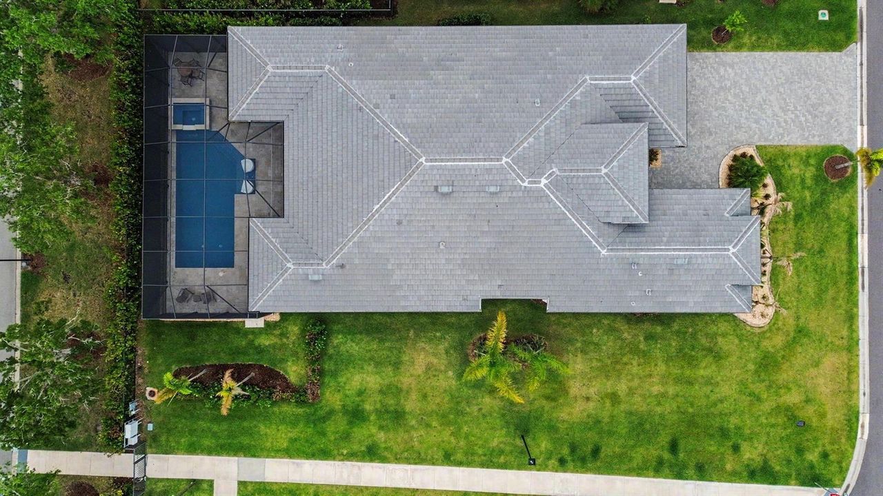 Aerial Pool