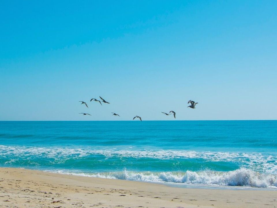 Image00011