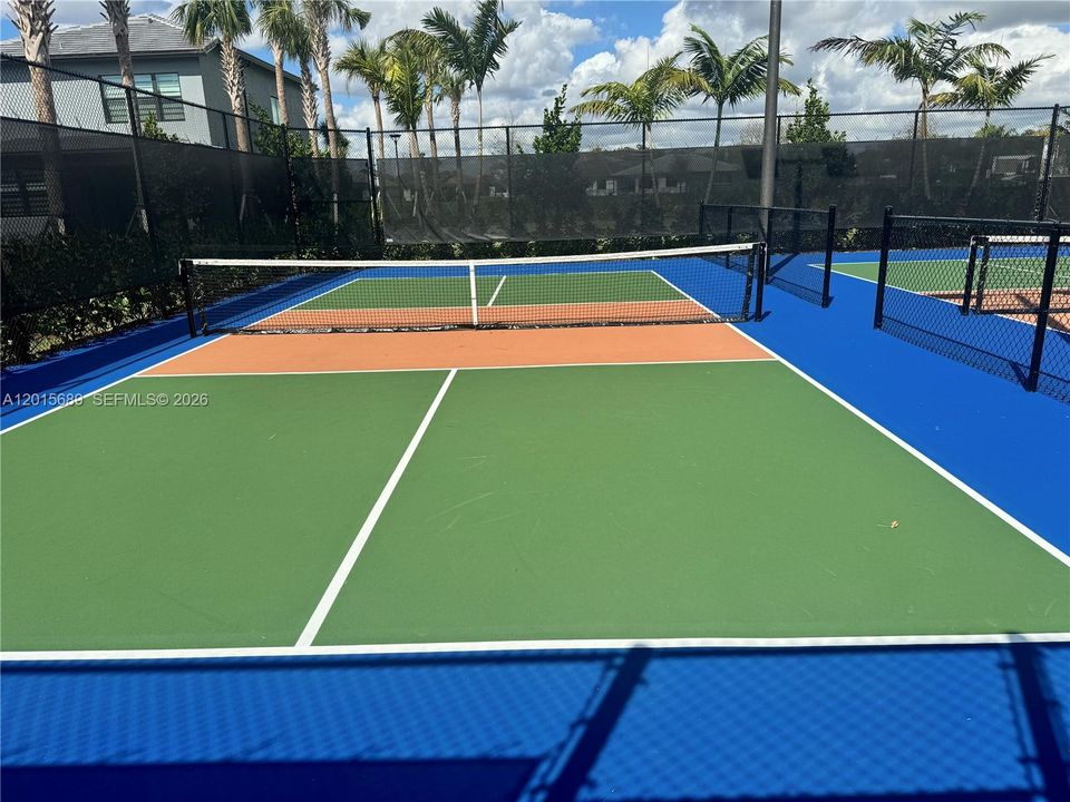 Pickle ball couts