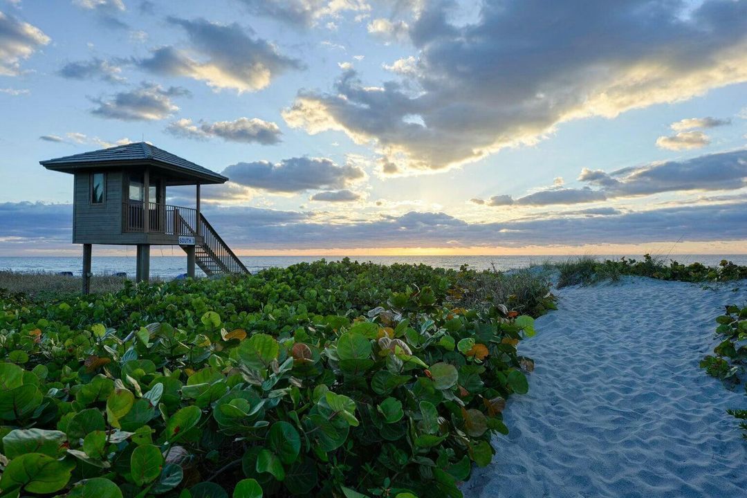 Delray Beaches