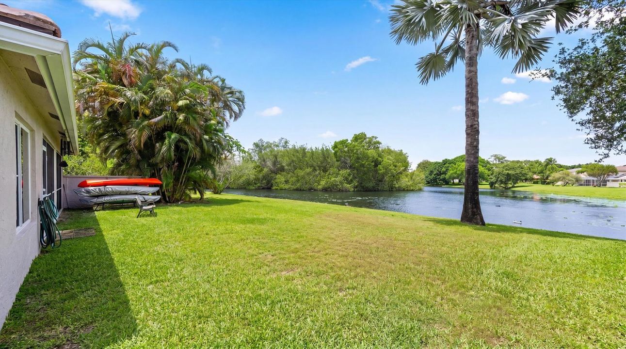 Backyard