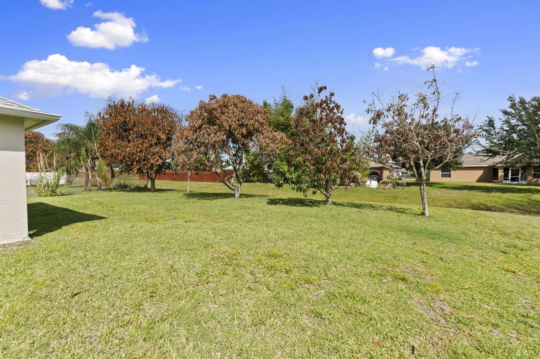 26-web-or-mls-DSC01219