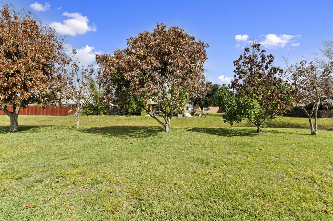 38-web-or-mls-DSC01237